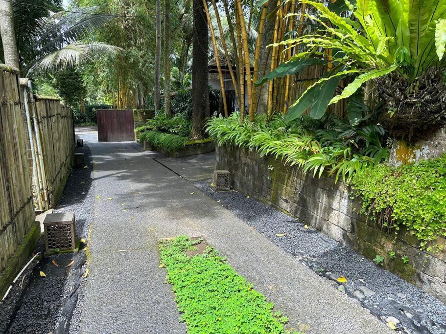 Boho Bellissimo Villa Ubud Exteriör bild