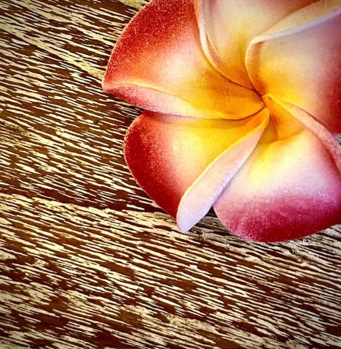 Boho Bellissimo Villa Ubud Exteriör bild